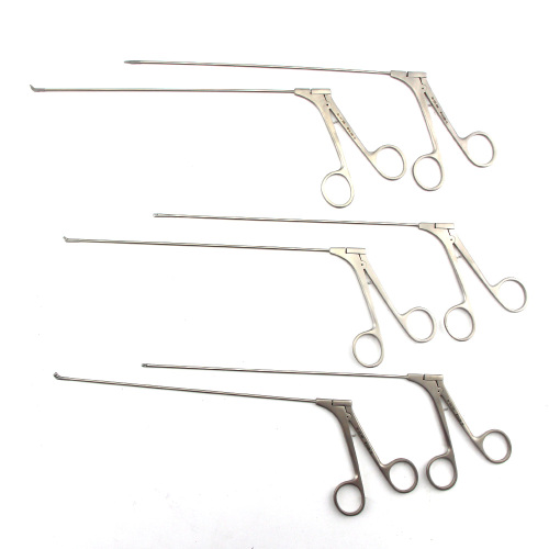 Endoscope rigide