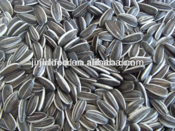 Oil sunflower seeds natural oil seeds