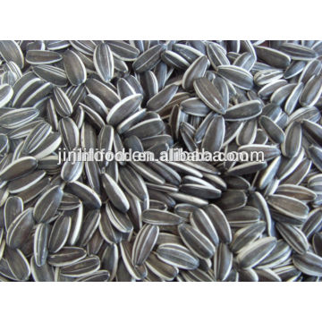 Oil sunflower seeds natural oil seeds