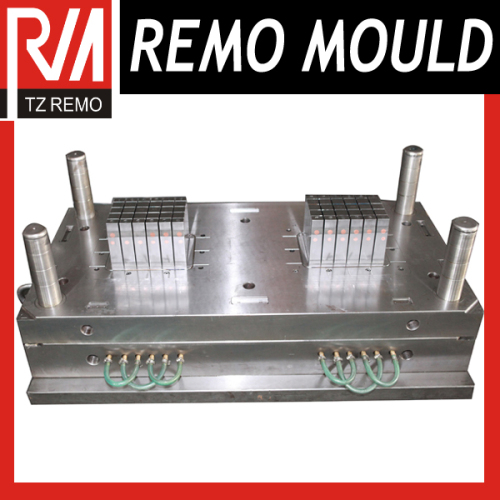 Plastic Injection Battery Case Mould