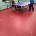 Tribunal de tenis de mesa de limpieza