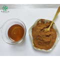 Hot Sale Semen Torreyae Extract Powder 20:1