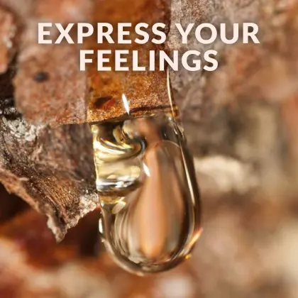 wholesale bulk price aceite de copaiba OEM 100% pure essential oil natural copaiba oil