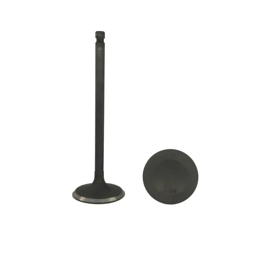 LWT 13201-V5202 Auto Engine Parts - Valve Seat for Nissan VG30E/VG30S CEDRIC (84-92)