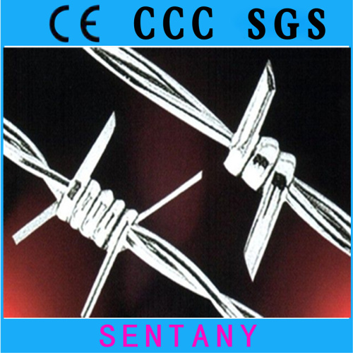 Hot Dipped Galvanized Barbed Wire