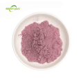 Pure Blood Orange Extract in Powder Form