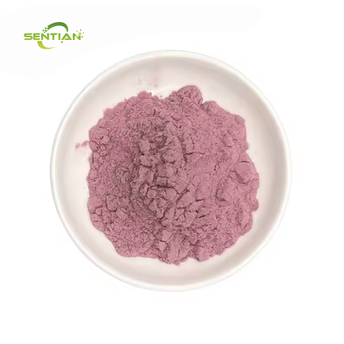 Pure Blood Orange Extract in Powder Form