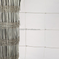 /msite/products/detail/productid/62638603/id/1509231.html