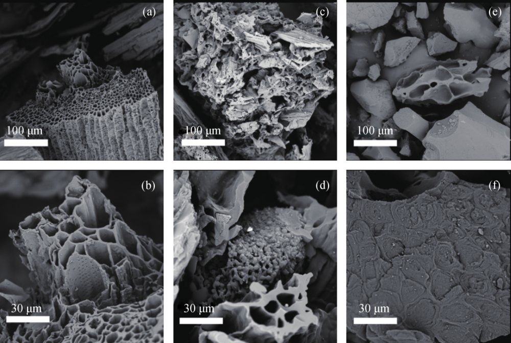 Biomass Carbon Png