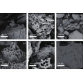 Coconut Shell Charcoal for Carbon Negative Electrode Materials