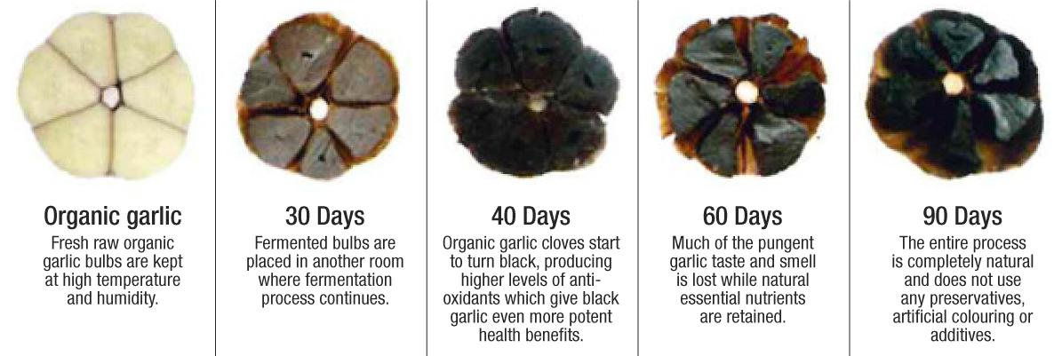 Whole black garlic 