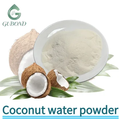 Natural organic freeze-dried coconut water powder