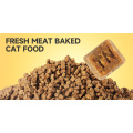OEM Custom inquérito com comida de gato grátis