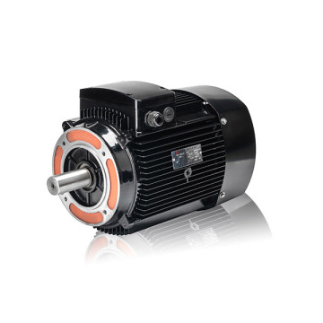 Moteur asynchrone triphasé YE2