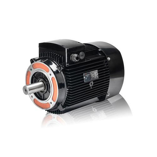 Motor asíncrono trifásico YE2