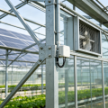 Invernadero solar fotovoltaico contemporáneo