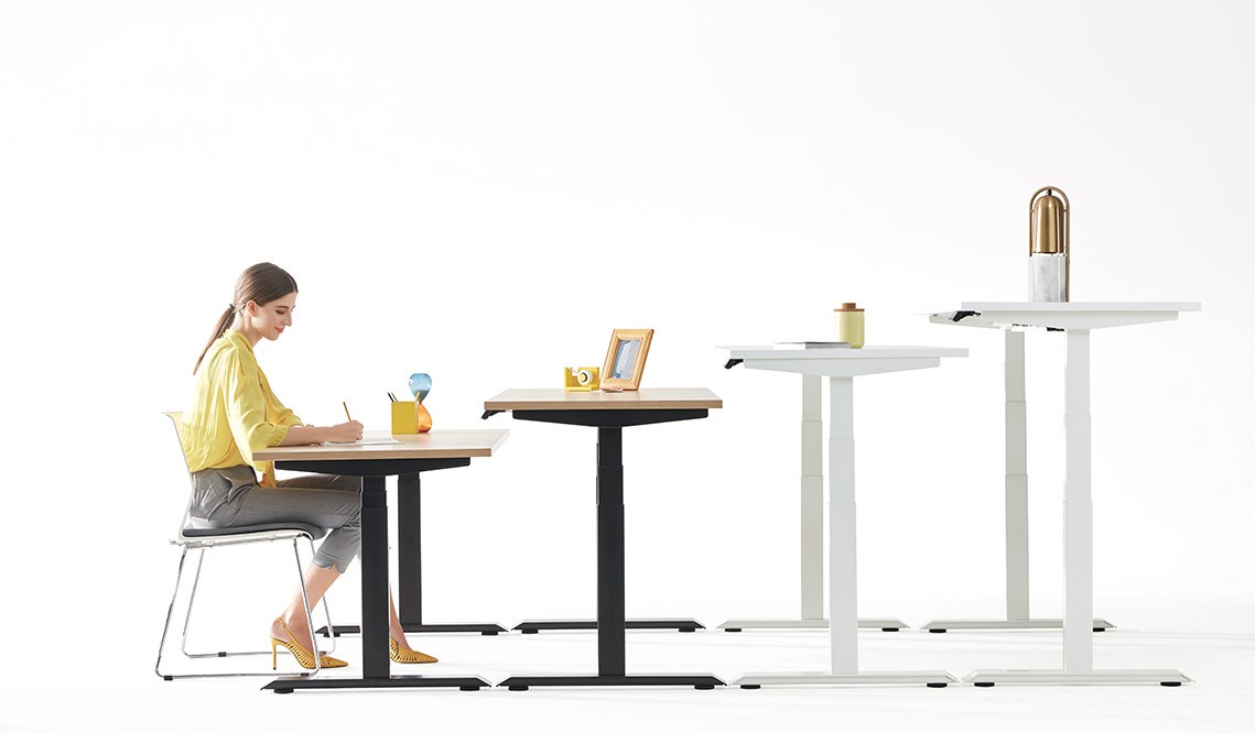 Large Laptop Electric Standing Desk for Office