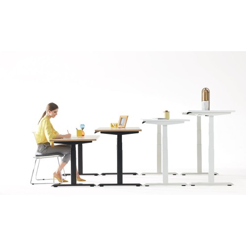 Large Laptop Electric Standing Desk for Office