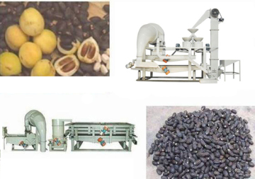 Jatropha Seeds Dehusk Machine