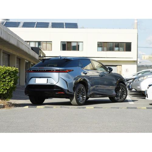 MNRZ Luxury Fast Electric car New Energy Electric Car 5 seats New Arrival Leng