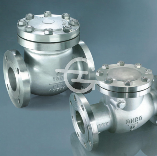 Professional Manufacturer of Check Valve