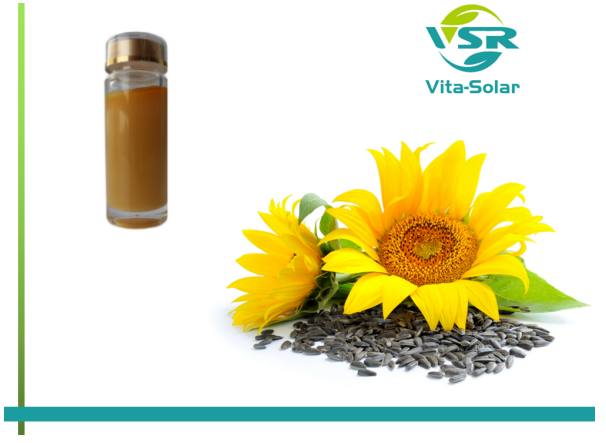 Sunflower Phosphatydylcholine oil