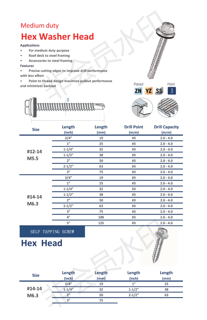 Hex Washer Head