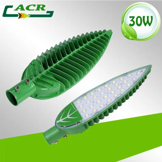 green leave shape hot selling for solar system street light 30W 12VDC