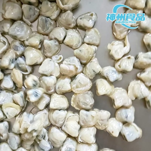 Vongole vive e congelate sostenibili