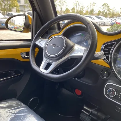 Today Sunshine M2 NEW MODEL EEC Electric Car for Family Use