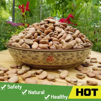 Broad beans fava beans price