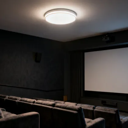 Smart Remote Control Ceiling Light