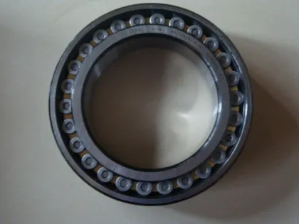 Fag Bearing Sl014852 The Outer Rings Have Rigid Ribs