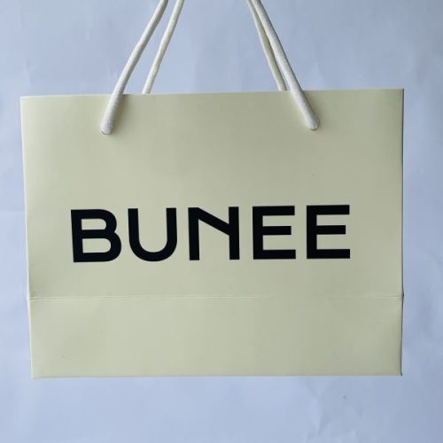 Shopping Paper Bags with Custom Logo and Ribbon