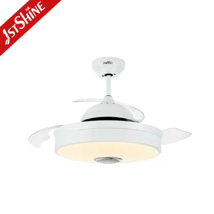 1stshine LED Ceiling Fan Manufacturer - Designer Invisible Ceiling Fan