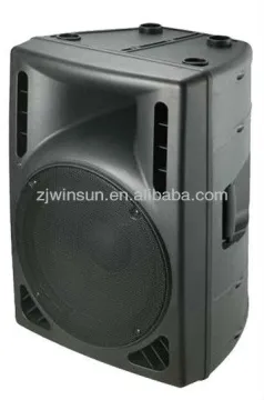 10" Plastic DJ Speaker Box/Outdoor Active/Stage Speaker System
