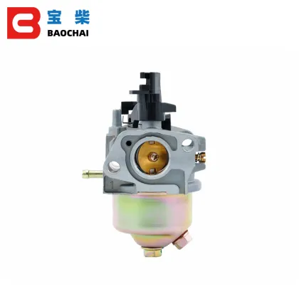 Gas Carburetors P19A-2 for ER2500 Engine Range Extender