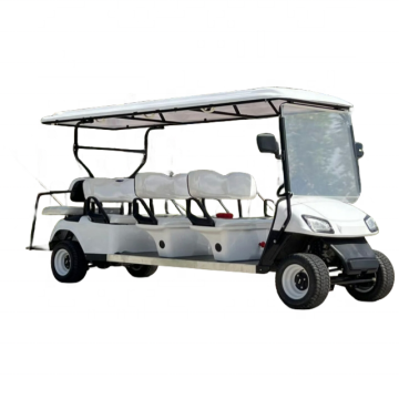 2 Seater Electric Lithium Golf Cart for Wholesale