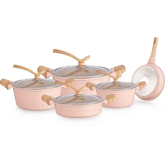 Die Cast Cooking Pot with Stainless Steel Glass Lid and Induction Bottom