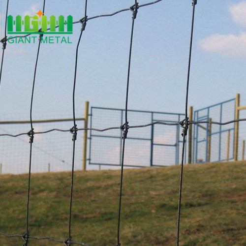 Hàng rào trường lắp ráp dễ dàng chất lượng cao cho nông trại