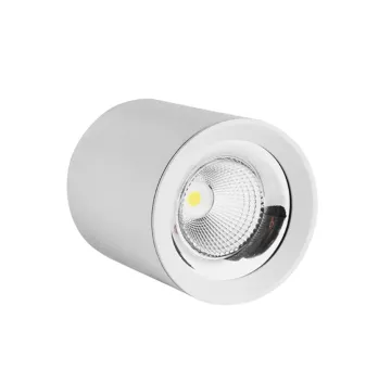 High brightness LED ceiling light