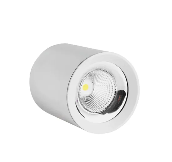 High brightness LED ceiling light