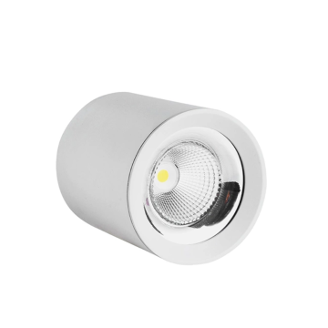 High brightness LED ceiling light