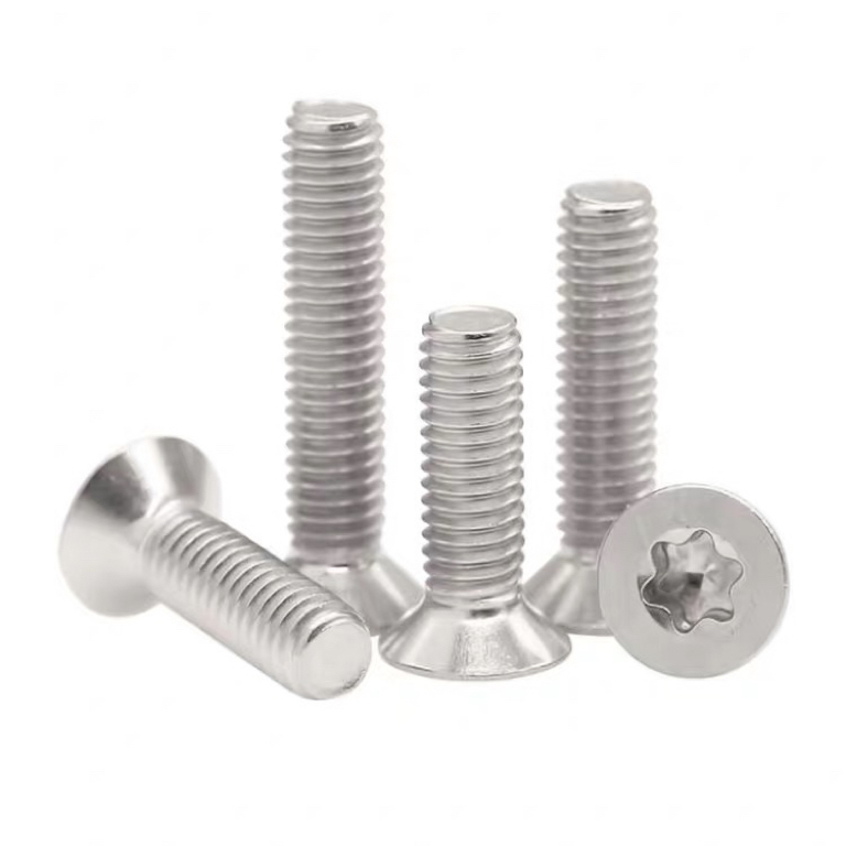 Stainless Steel Torx Star Shape Countersunk Head Screw