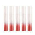 matter lip Glaze round tube