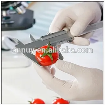 Disposable Non Sterile Cheap Latex Examination Gloves China Manufacture Price