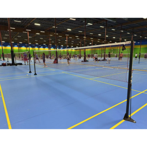 Premium Badminton Steel Pole Set