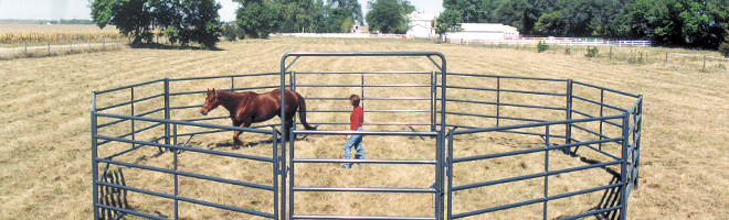 hot sale Horse Fence Panels /Pipe Fencing Horses