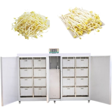 Automatic Mung Bean Sprout Machinery for Practical Bean Sprout Production