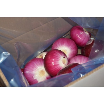 Peeled Red Onion to Australia market